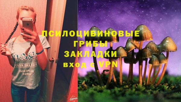 дживик Балахна
