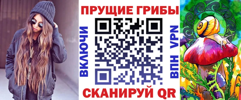 ссылка на мегу ССЫЛКА  купить наркотик  Няндома  Галлюциногенные грибы Magic Shrooms 